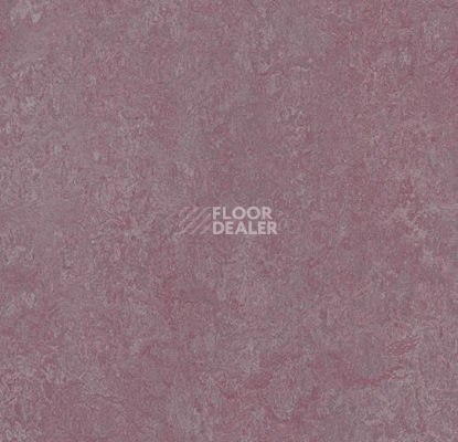 Линолеум Forbo Marmoleum Marbled Real 3272 Plum фото 1 | FLOORDEALER